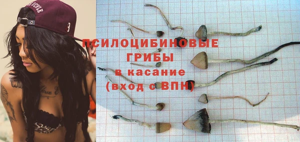 не бодяженный Алексин